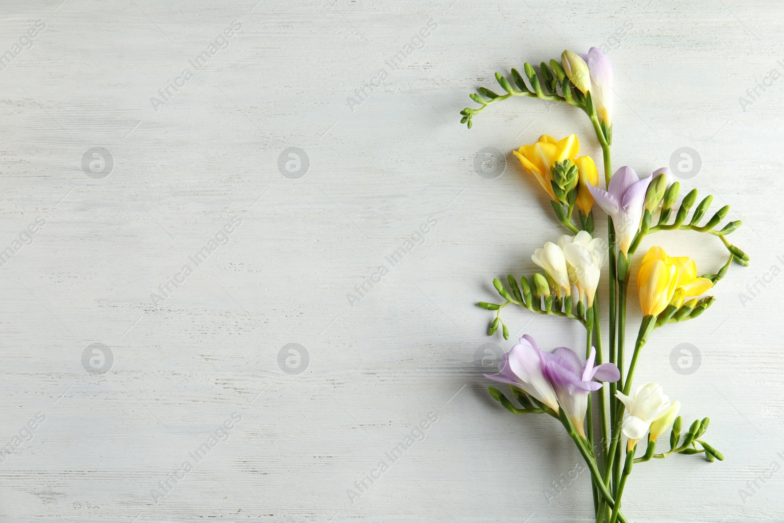 Photo of Beautiful fresh freesia flowers on wooden background, flat lay. Space for text