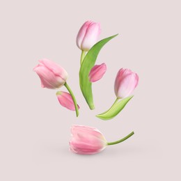 Image of Beautiful pink tulips flying on light background