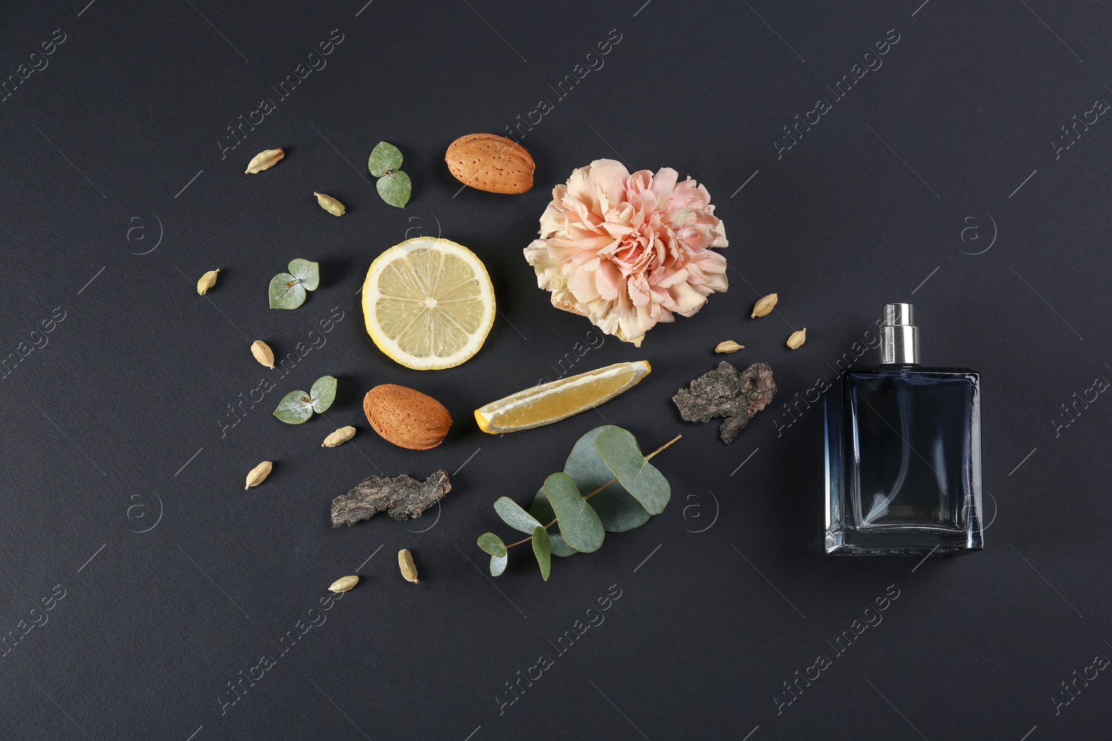 Photo of Flat lay composition with bottle of perfume on black background