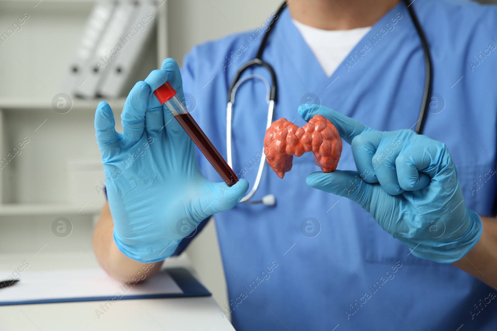 Photo of Endocrinologist showing thyroid gland model and blood sample in hospital, closeup