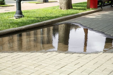 Photo of Puddle of rain water on paved pathway outdoors