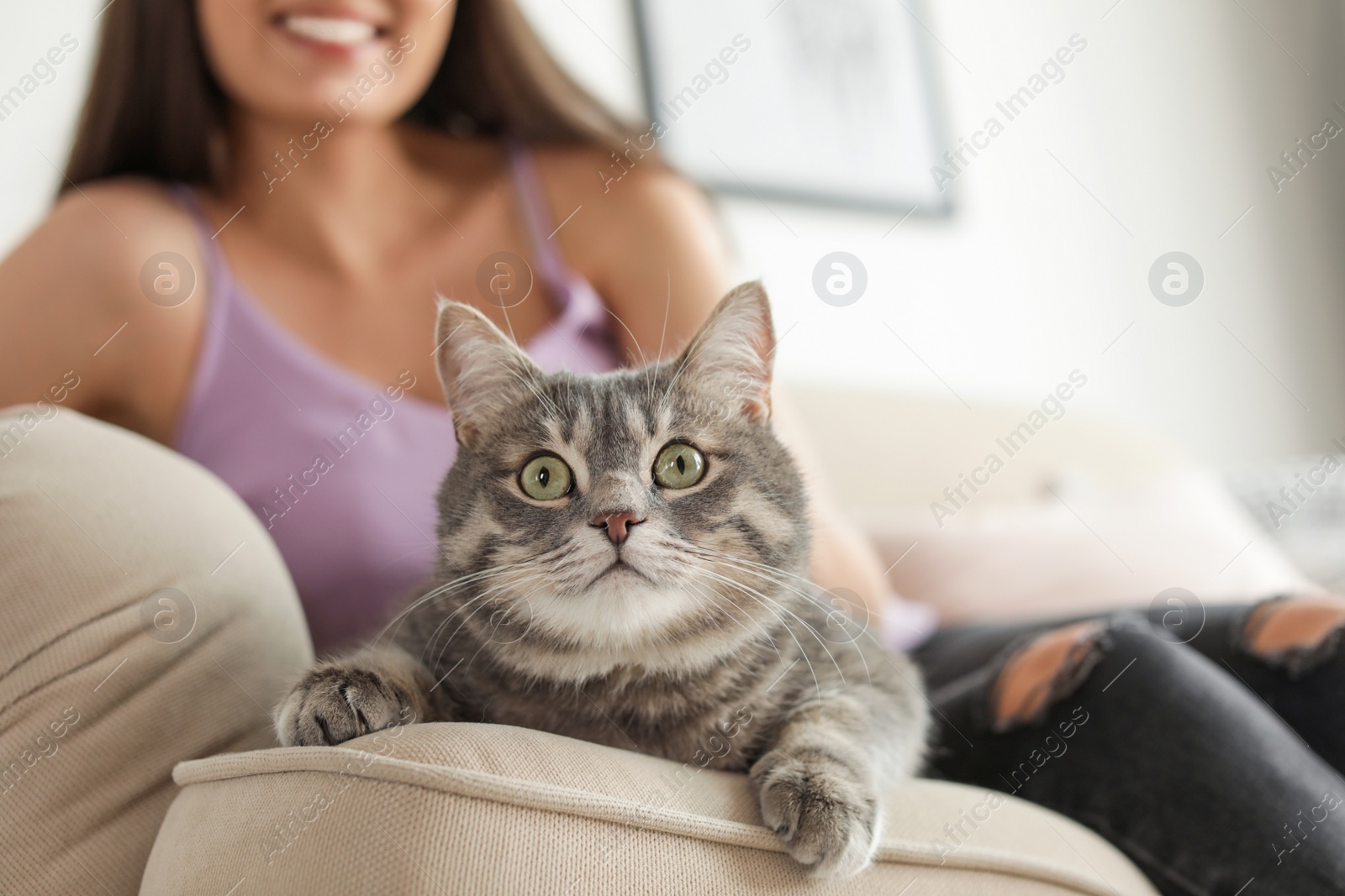 Photo of Young woman with cute cat at home, closeup. Pet and owner