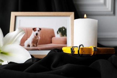 Photo of Pet funeral. Frame with picture of dog, collar, burning candle and lily flower on black cloth, selective focus. Space for text