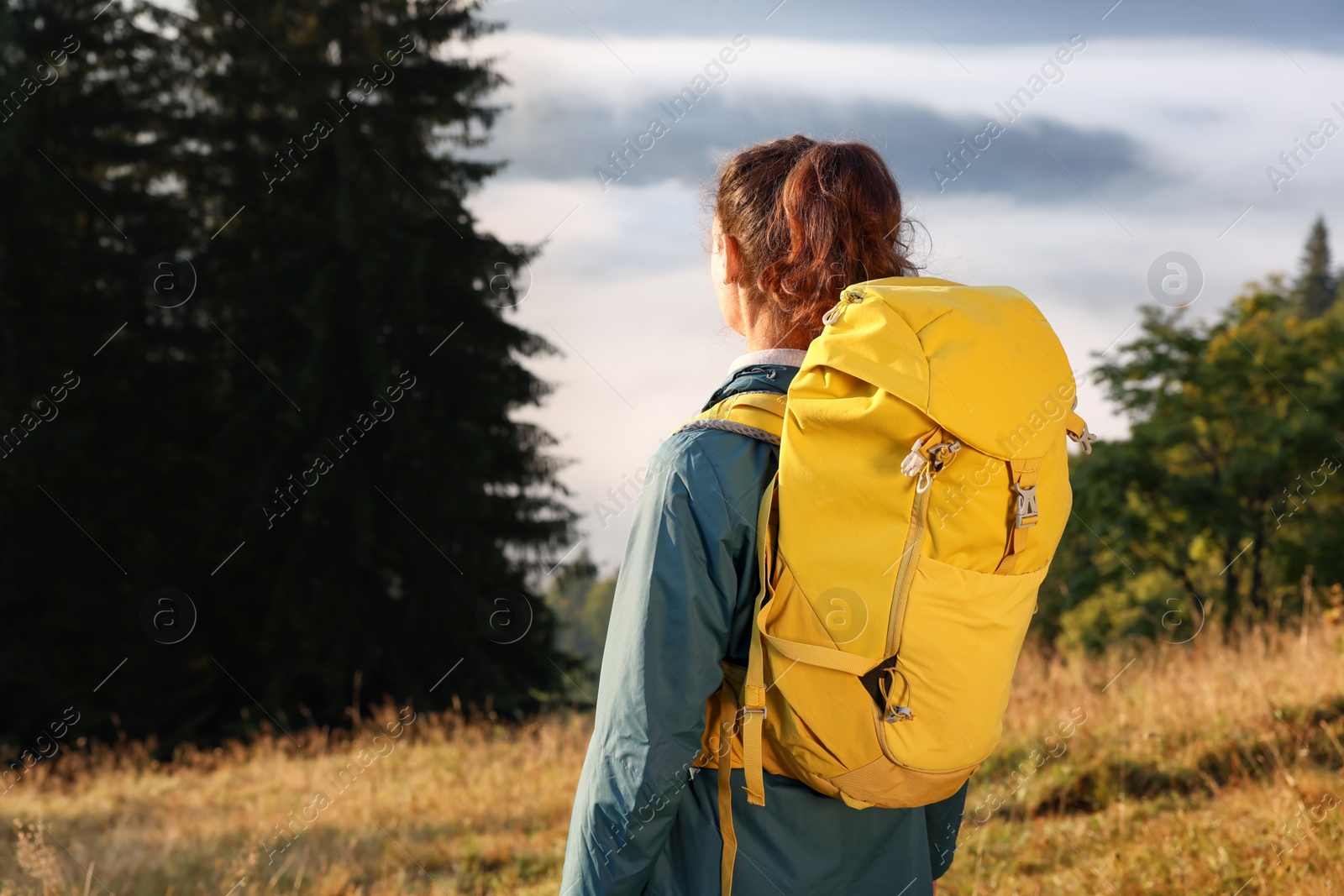 Photo of Tourist with backpack in nature on sunny day, back view. Space for text