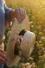 Photo of Woman with hat in beautiful blossoming buckwheat field, closeup