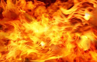 Image of Abstract beautiful bright fire flames as background