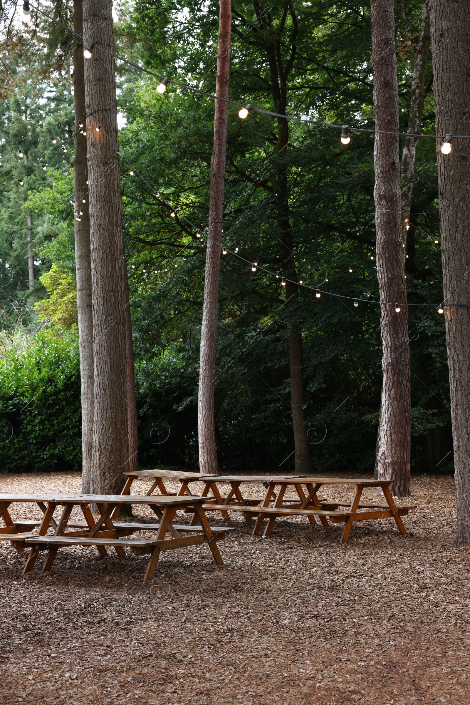 Photo of Wooden benches and tables in forest. Recreation area