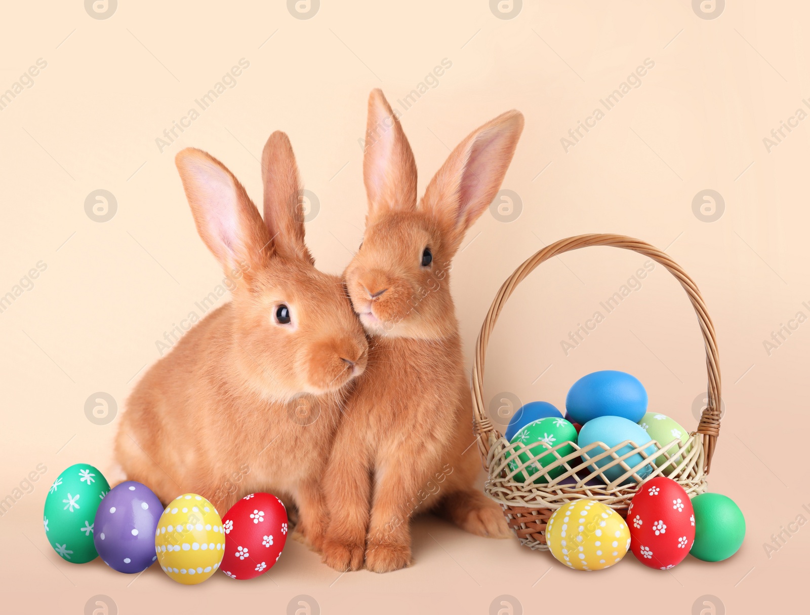 Image of Cute bunnies and wicker basket with bright Easter eggs on beige background