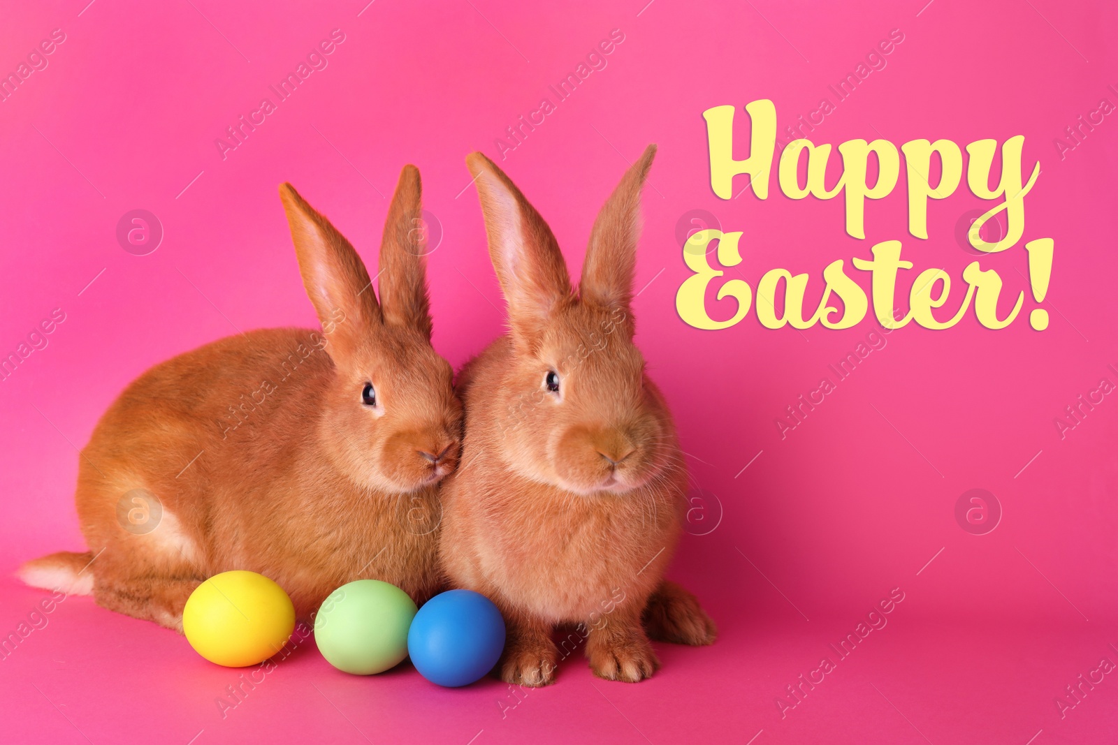 Image of Happy Easter! Cute bunnies and dyed eggs on pink background 