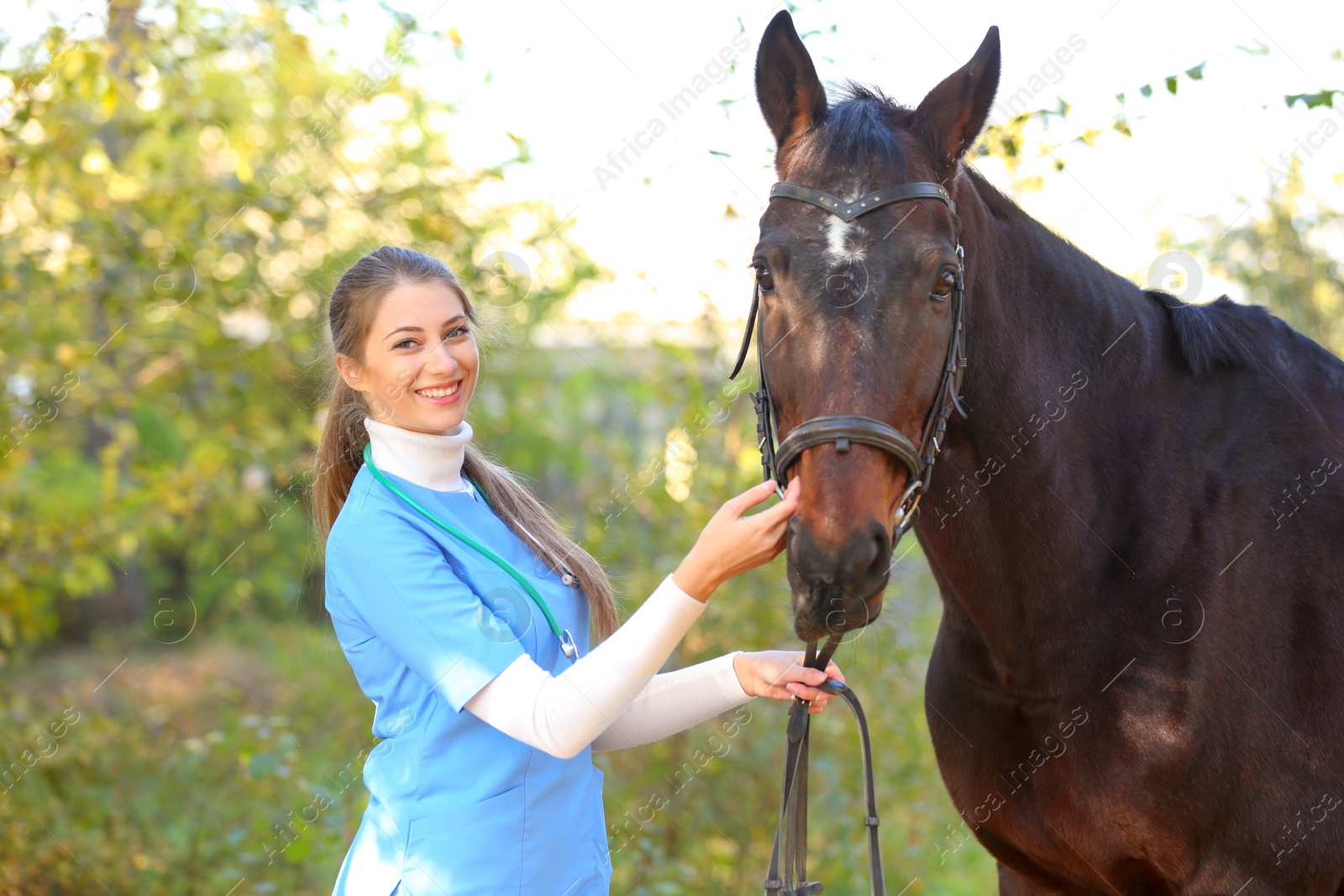 Photo of Veterinarian in uniform with beautiful brown horse outdoors