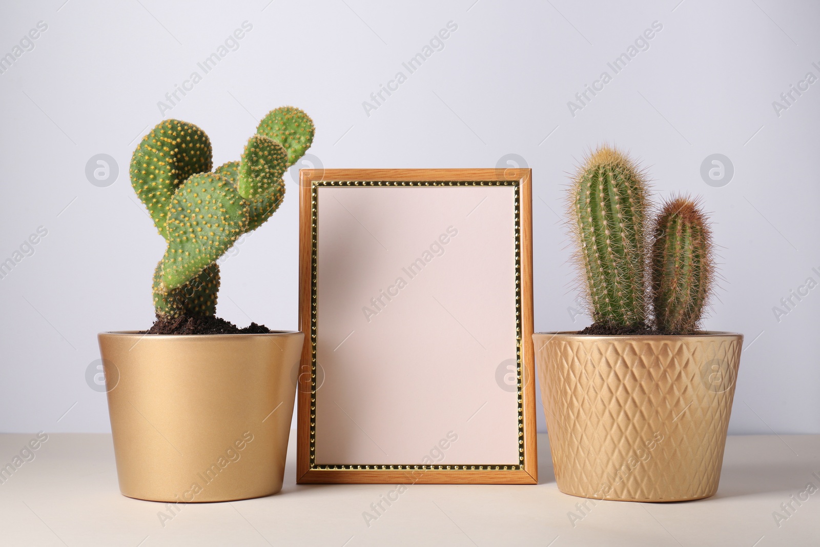 Photo of Different cacti in pots and empty frame on beige table