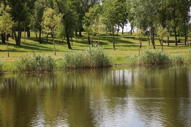 Beautiful park with green trees and lake