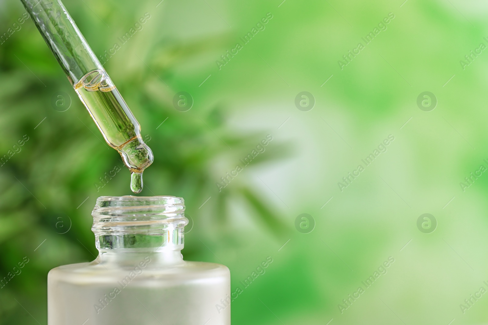 Photo of Dripping of essential oil into bottle on blurred background