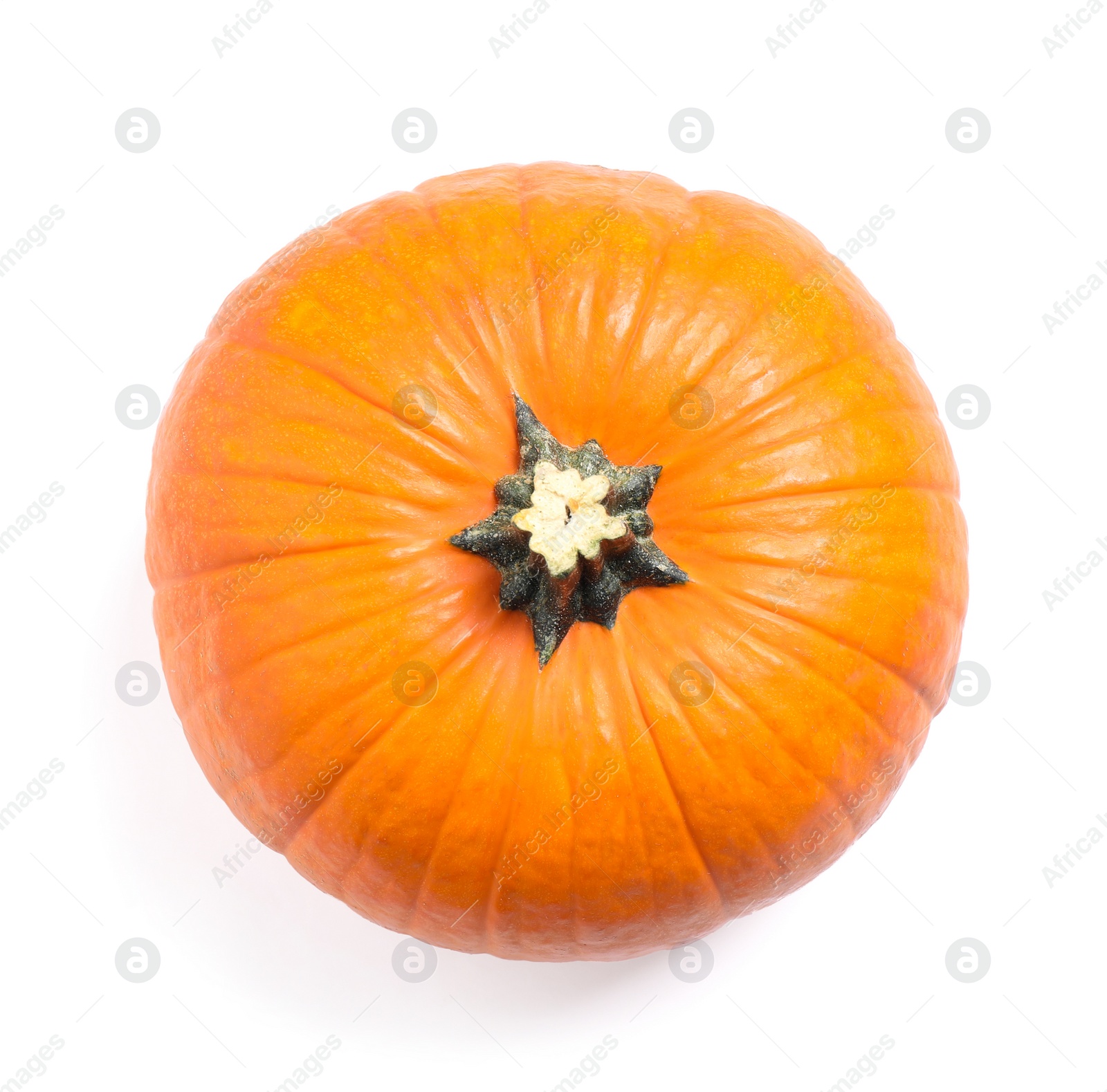 Photo of Fresh ripe pumpkin isolated on white, top view. Organic plant