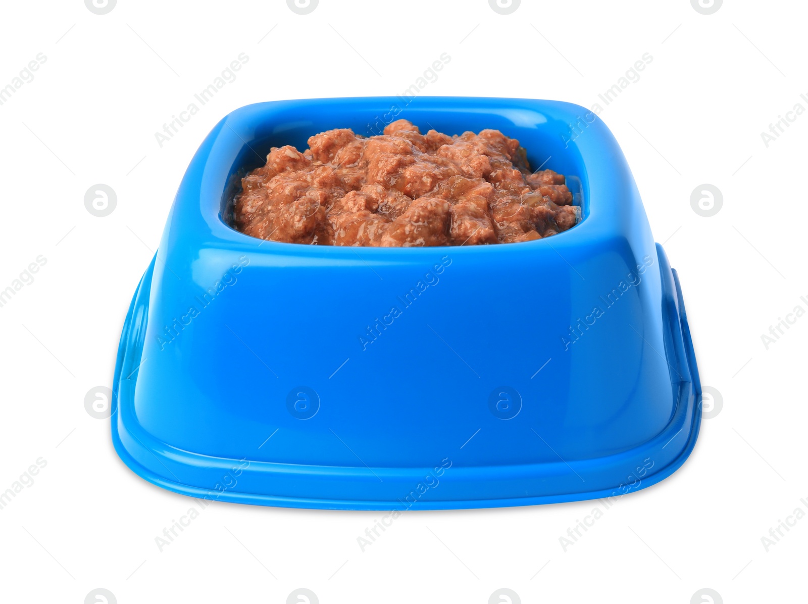 Photo of Wet pet food in feeding bowl isolated on white