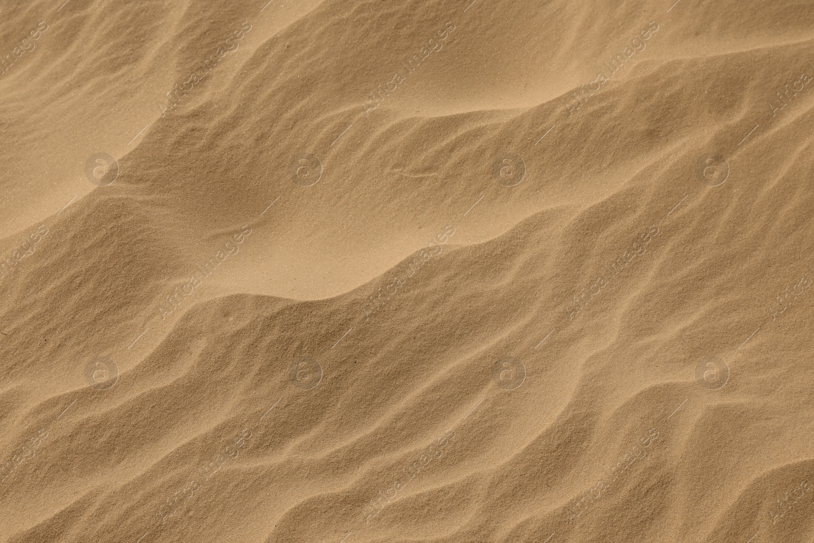 Photo of Closeup view of sand dune in desert as background