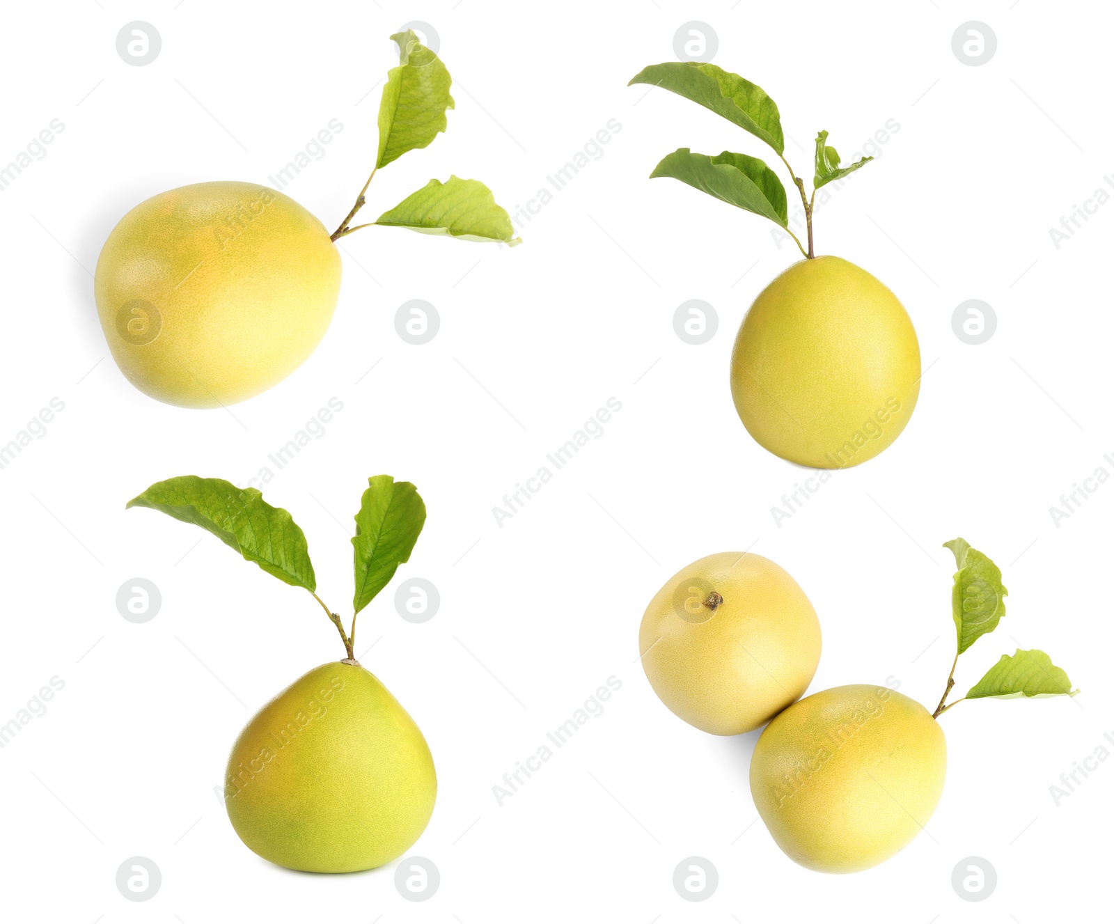 Image of Collage with fresh pomelo fruits on white background