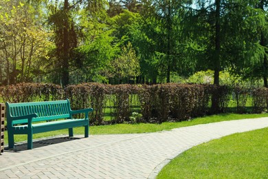 Picturesque view of beautiful park with fresh green grass and trees