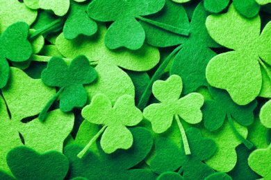 Green clover leaves as background, top view. St. Patrick's Day celebration