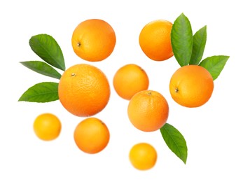 Image of Ripe oranges with green leaves flying on white background