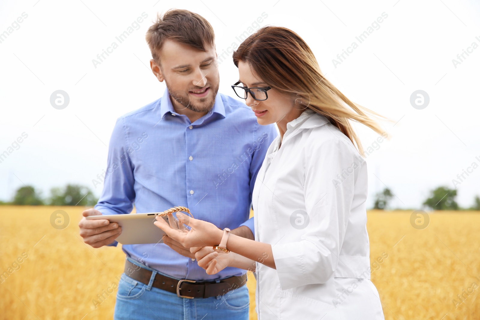 Photo of Young agronomists in grain field. Cereal farming