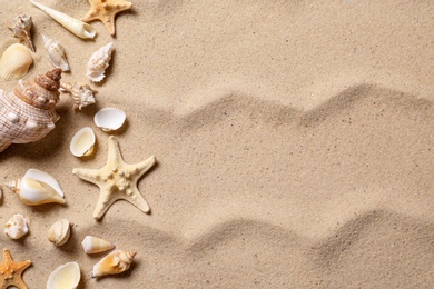 Photo of Beautiful seashells and starfishes on beach sand, flat lay with space for text. Summer vacation