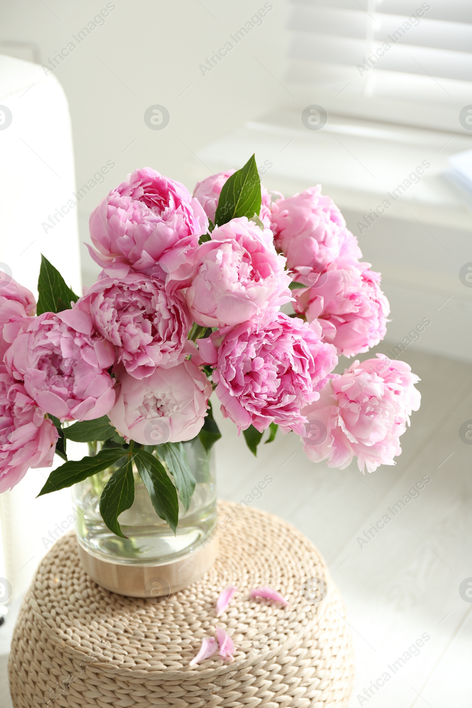 Photo of Bouquet of beautiful peonies on pouf indoors