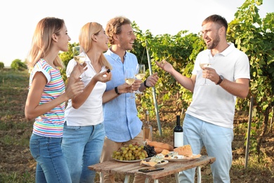 Friends holding glasses of wine and having fun on vineyard picnic