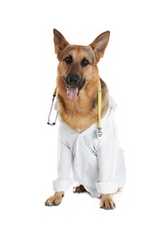 Photo of Cute dog in uniform with stethoscope as veterinarian on white background