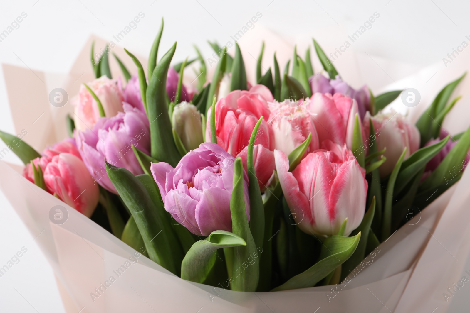 Photo of Bouquet of beautiful tulips on white background, closeup