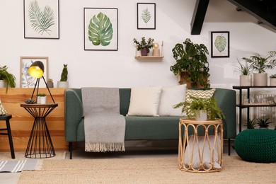 Stylish living room interior with comfortable sofa and green plants