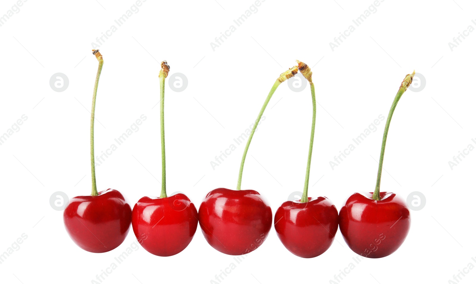 Photo of Sweet red cherries on white background