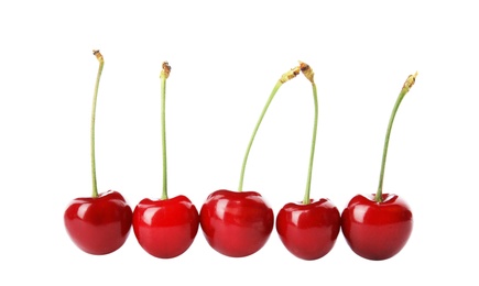 Photo of Sweet red cherries on white background