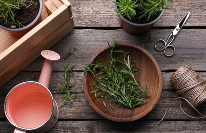 Flat lay composition with fresh green rosemary on wooden table