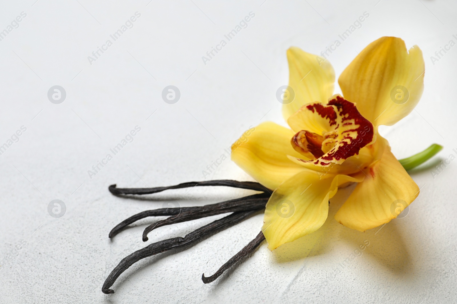 Photo of Beautiful vanilla flower and sticks on light background