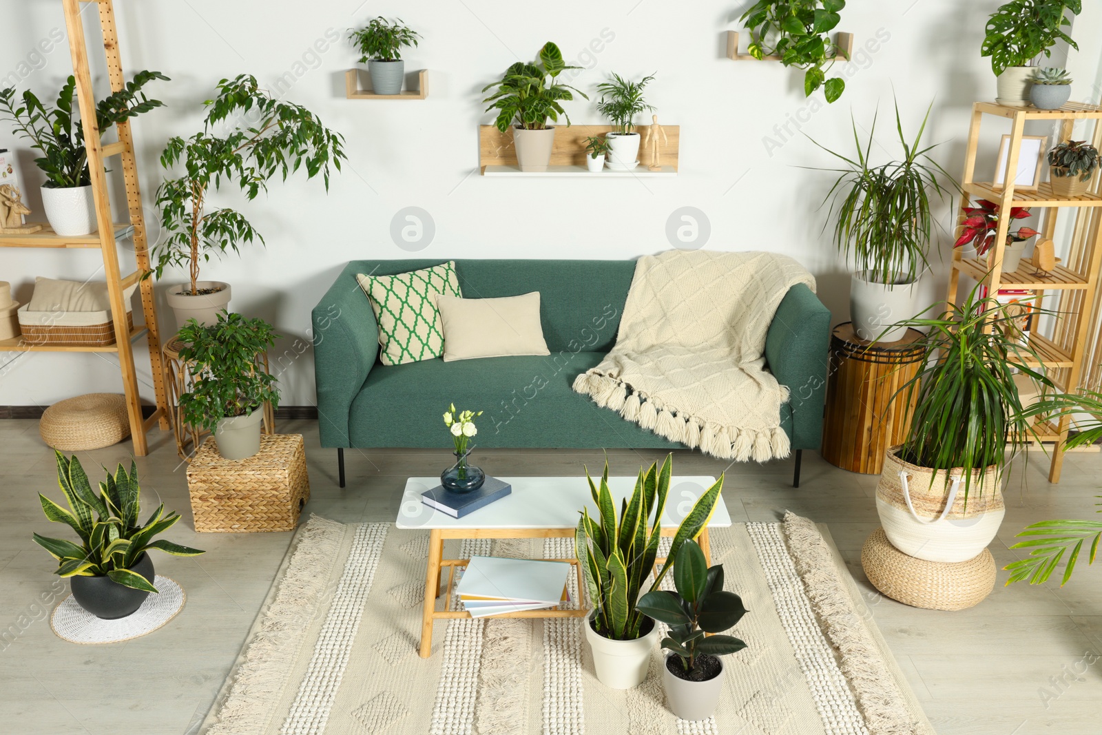 Photo of Living room interior with beautiful different potted green plants and furniture. House decor