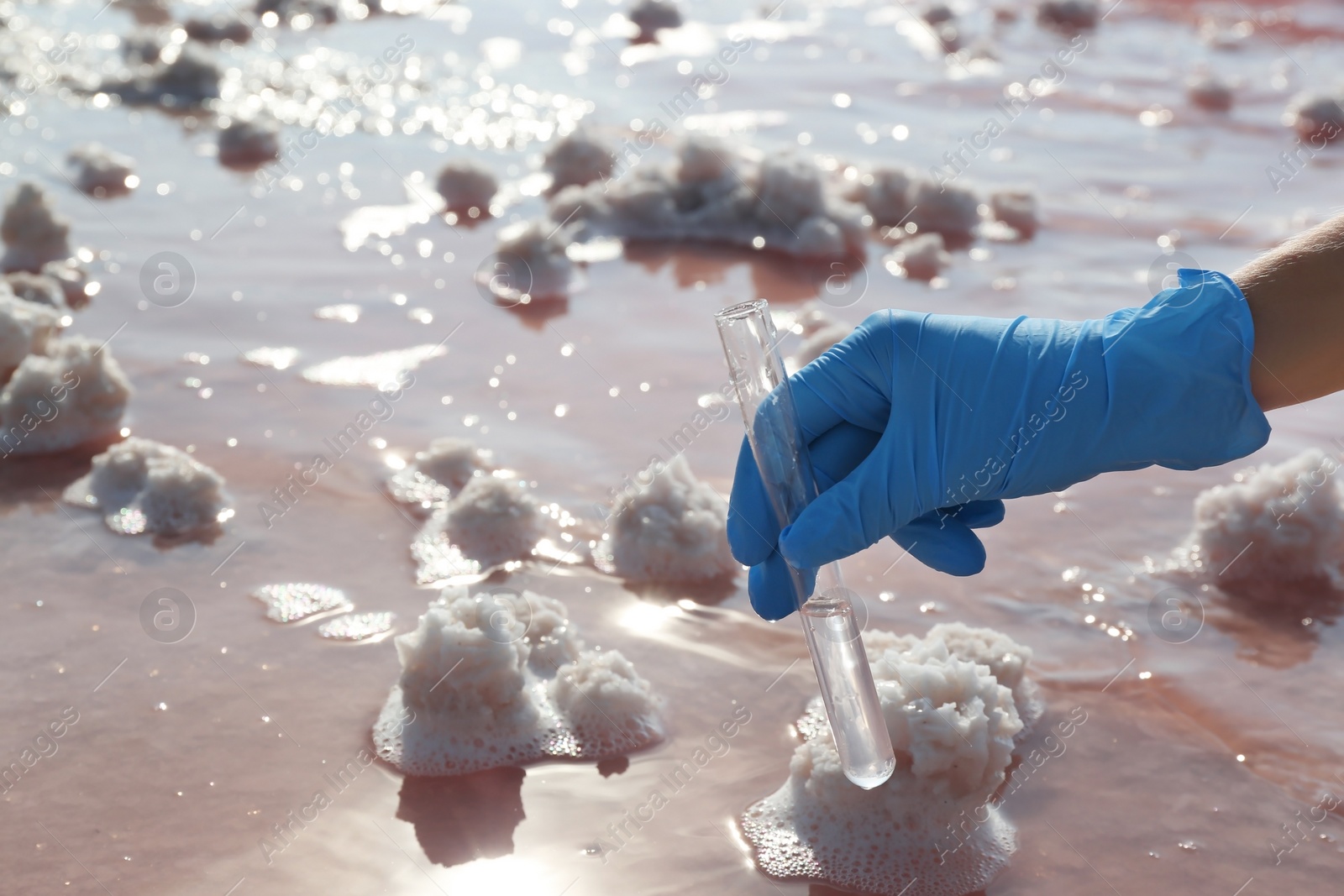 Photo of Laboratory worker with test tube taking sample from pink lake for analysis, closeup