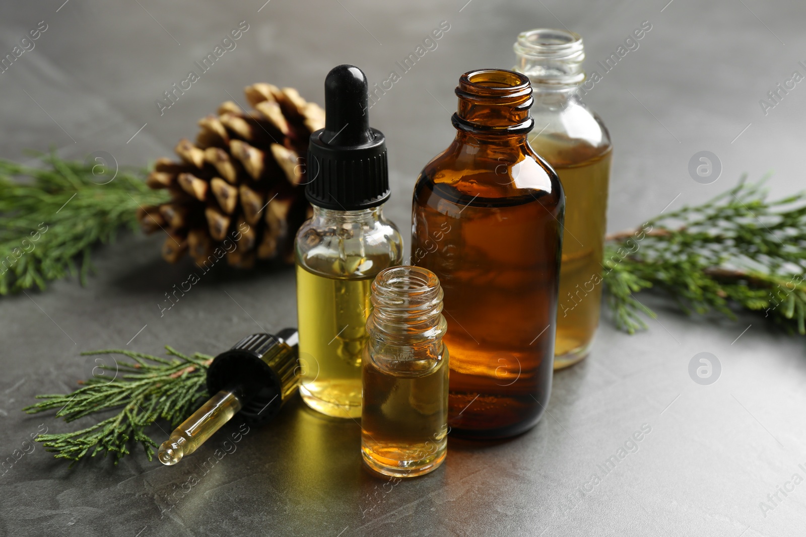 Photo of Composition with bottles of conifer essential oil on grey table