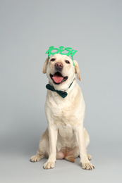 Labrador retriever with Irish party glasses and bow tie on light grey background. St. Patrick's day
