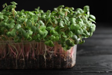 Fresh radish microgreens in plastic container on black wooden table, closeup