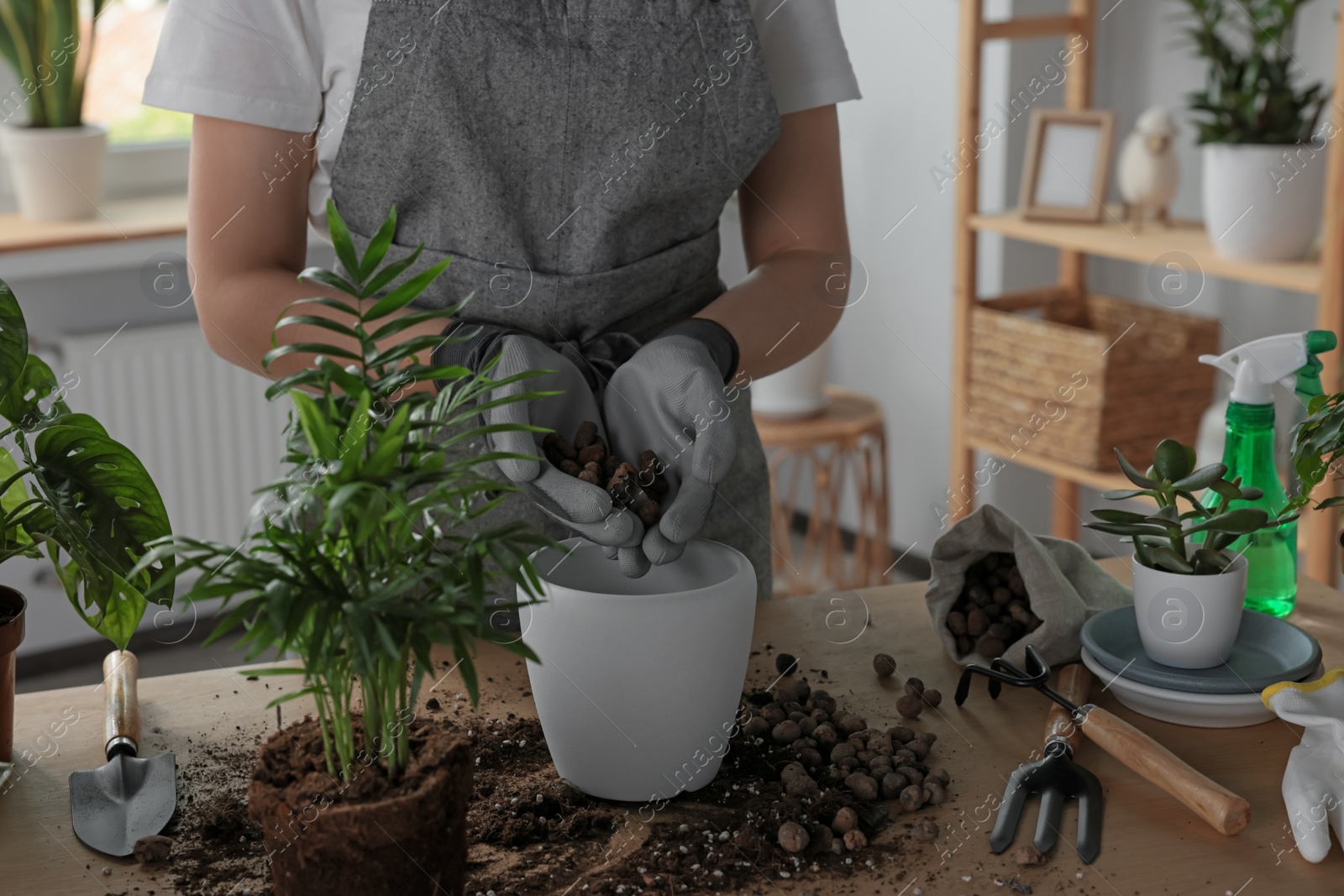 Photo of Woman filling flowerpot with drainage at table indoors, closeup. Houseplant care