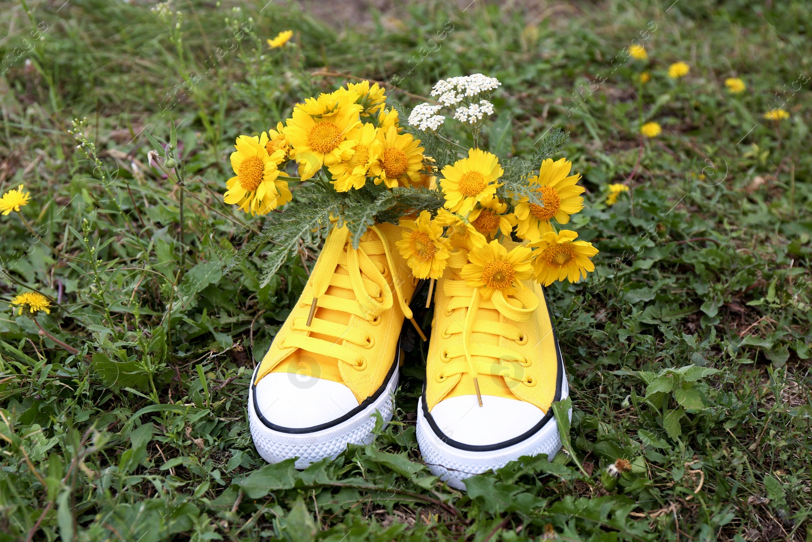 Photo of Shoes with beautiful yellow flowers on grass outdoors