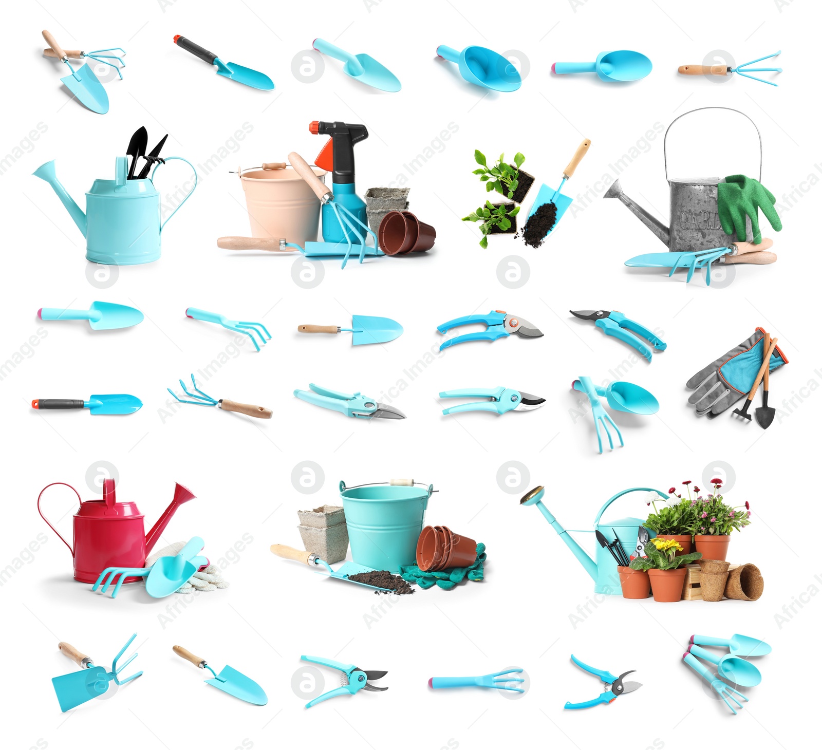 Image of Set of gardening tools and different seedlings on white background