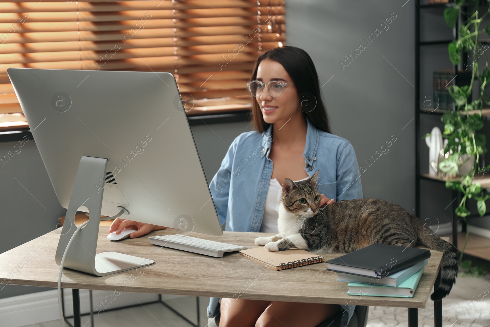 Photo of Young woman with cat working on computer at table. Home office concept