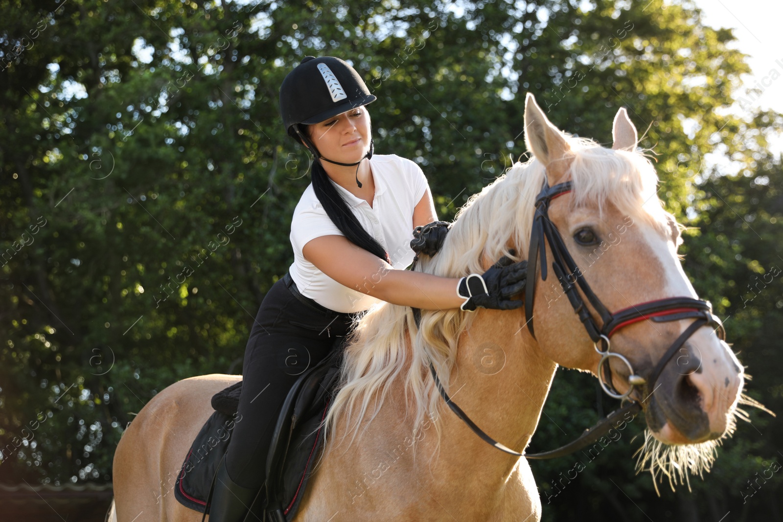 Photo of Young woman in equestrian suit riding horse outdoors on sunny day. Beautiful pet