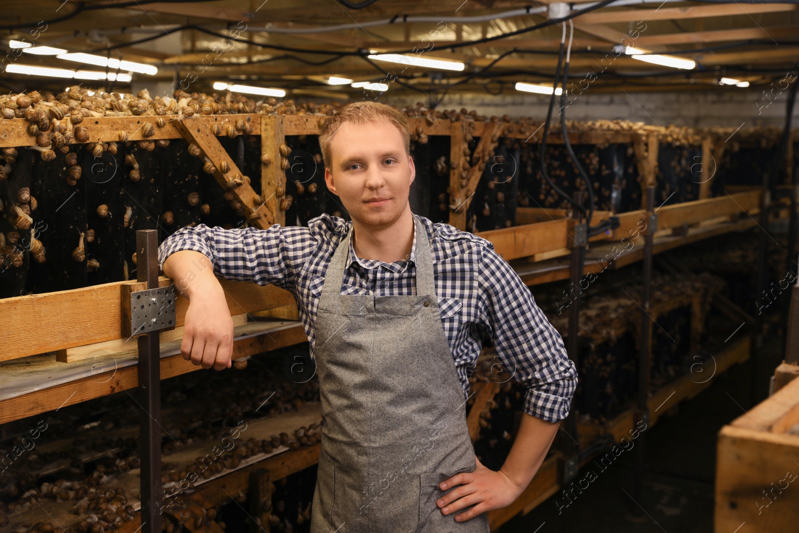 Photo of Worker near stand with snails on farm