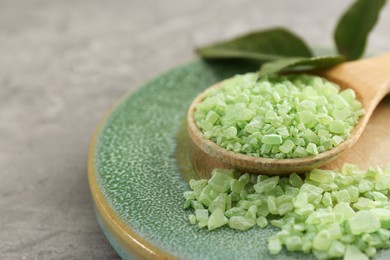 Photo of Aromatic sea salt and green leaves on grey textured table, closeup. Space for text