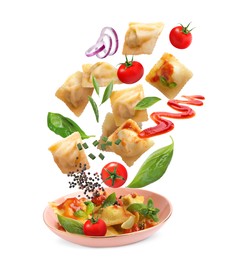 Image of Tasty ravioli with tomato sauce and ingredients falling into plate on white background