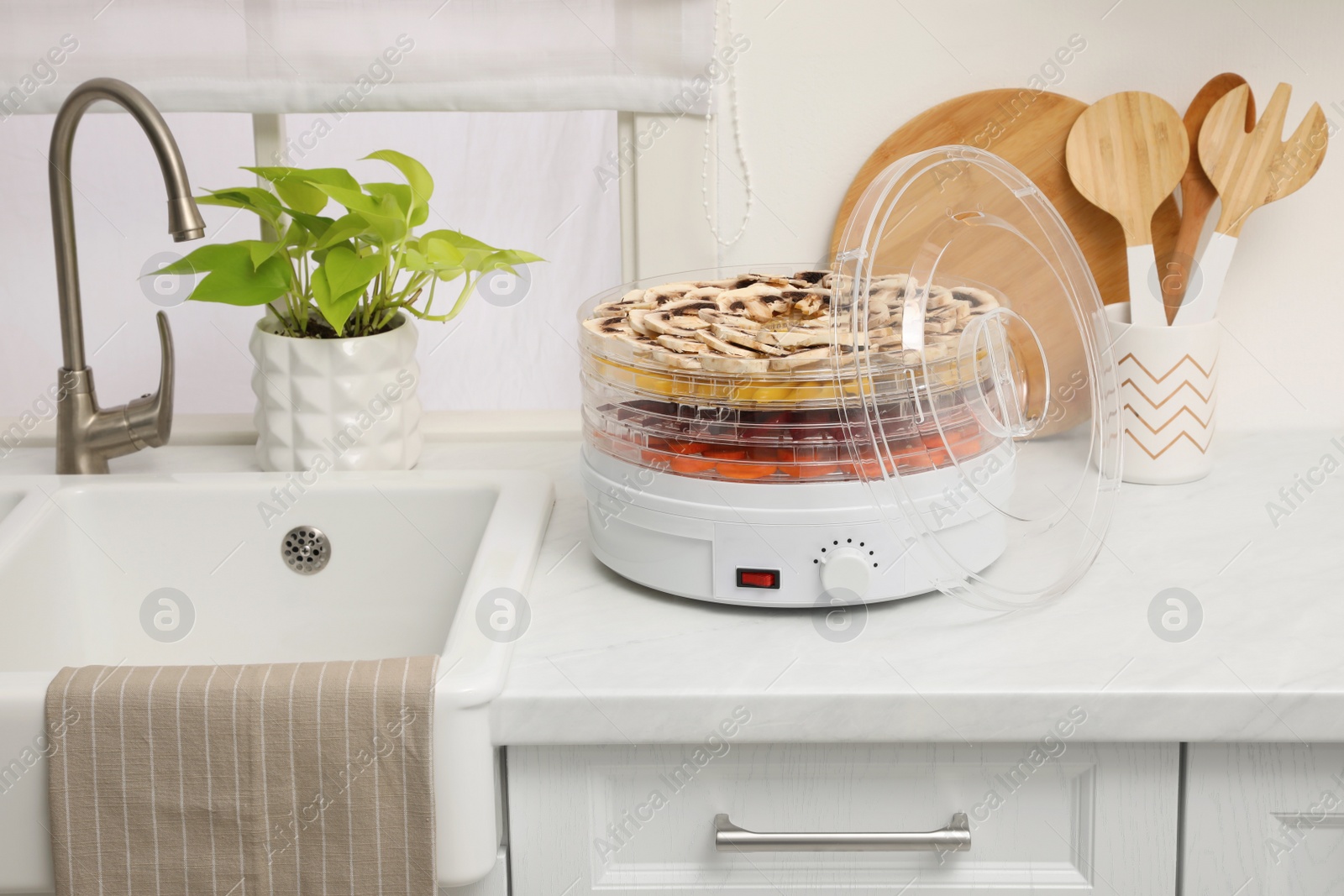 Photo of Modern dehydrator machine with vegetables in kitchen