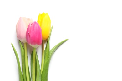 Photo of Beautiful spring tulips on white background, top view. International Women's Day